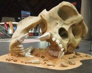 King Kong Gorilla Skull 3.2m tall