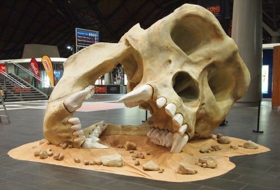 King Kong Gorilla Skull 3.2m tall