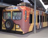 Werribee Zoo Bus