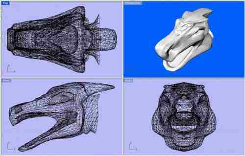Dragons Head wireframe components